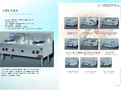 中餐爐灶系列    詳情展示